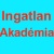 Ingatlanbefektetés és tanácsadás magyar és nemzetközi befektetk oktatási anyagai segítségével