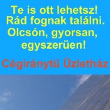 Cégirányt Üzletház Jelenlét a világhálón egy sikeres csapat tagjaként.