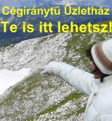 Cégirányt Üzletház Jelenlét a világhálón egy sikeres csapat tagjaként.
